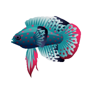 Pink Tail Marine Betta